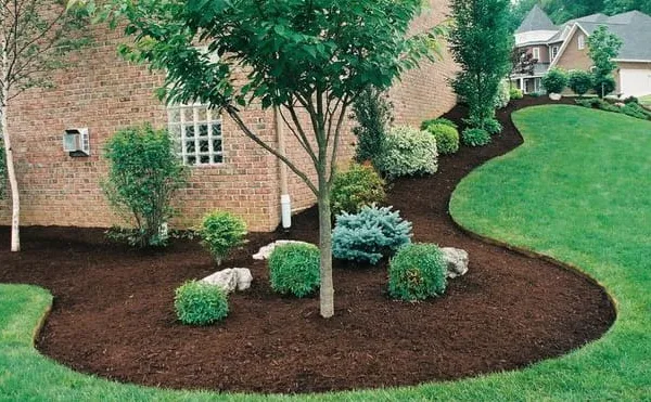 Mulch