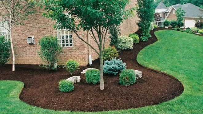 Expert Landscaping Services in Bear, DE