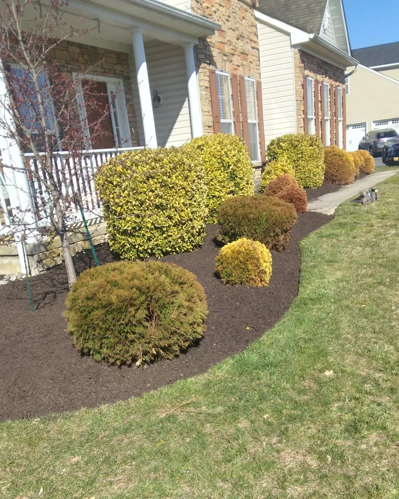 Professional Paver Installation in Dover, DE