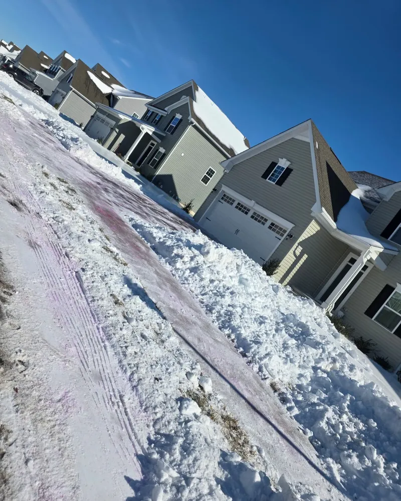 Expert Landscaping Services in Bear, DE