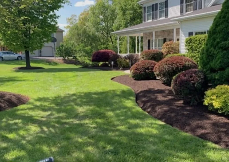Professional Paver Installation in Dover, DE