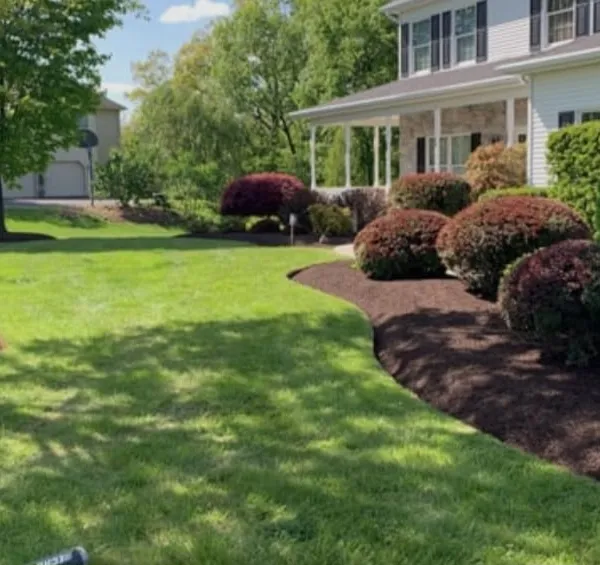 Trimming & Edging